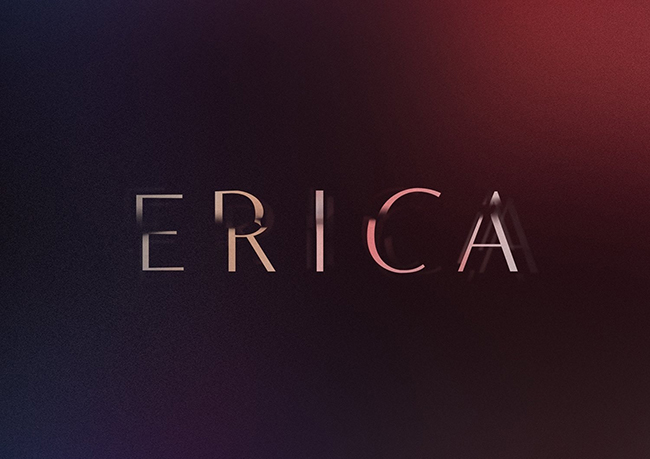 Erica 2021 pc обзор